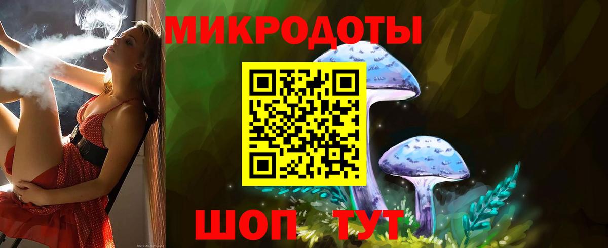 Псилоцибиновые грибы GOLDEN TEACHER  Вход с VPN  Серов 